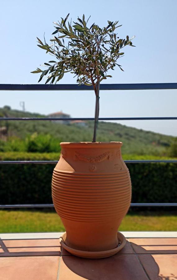 Cozy Small Smart Villa With Private Pool Mikri Mantineia Kalamata Exterior foto